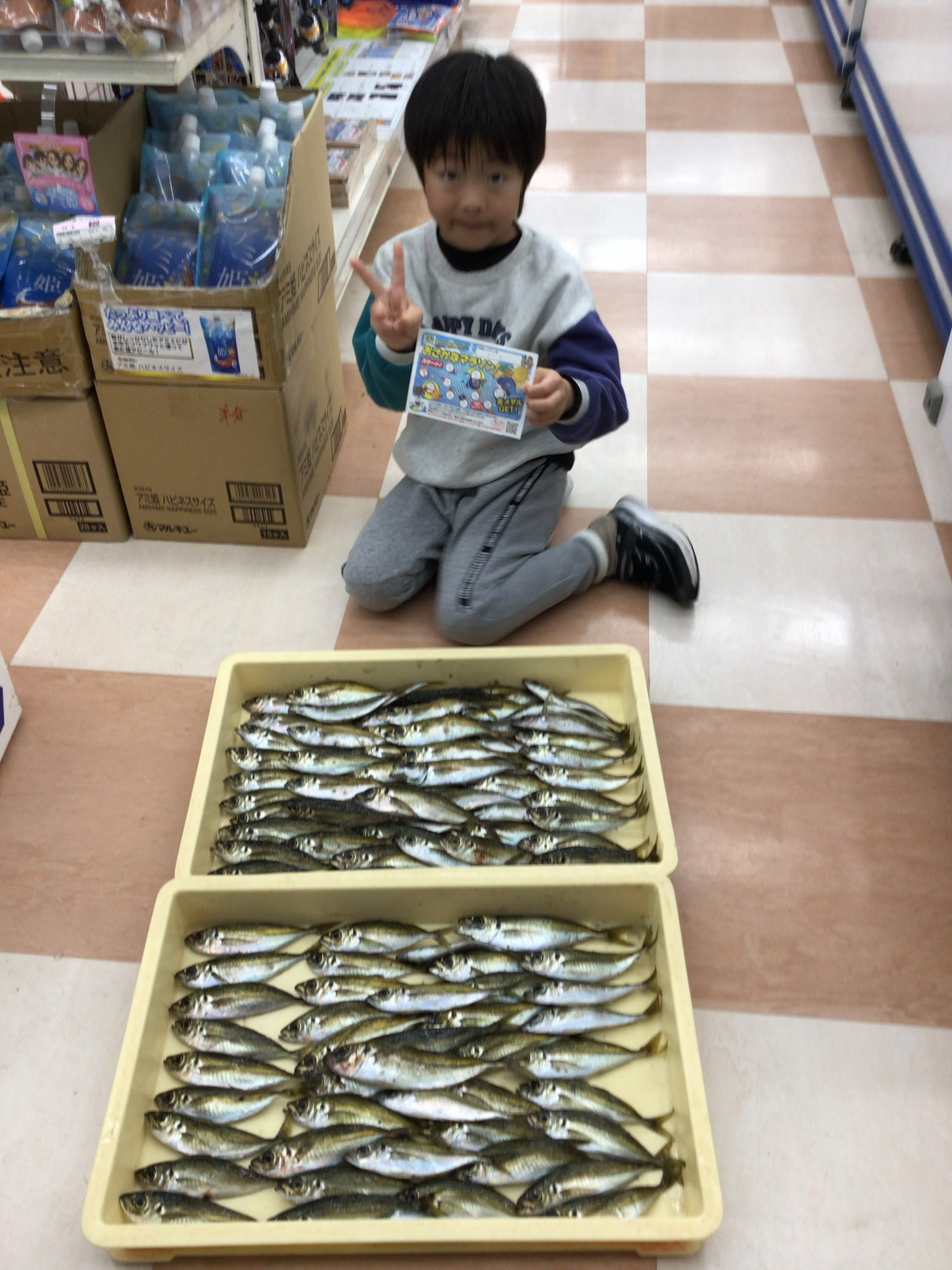 かいと君１８日