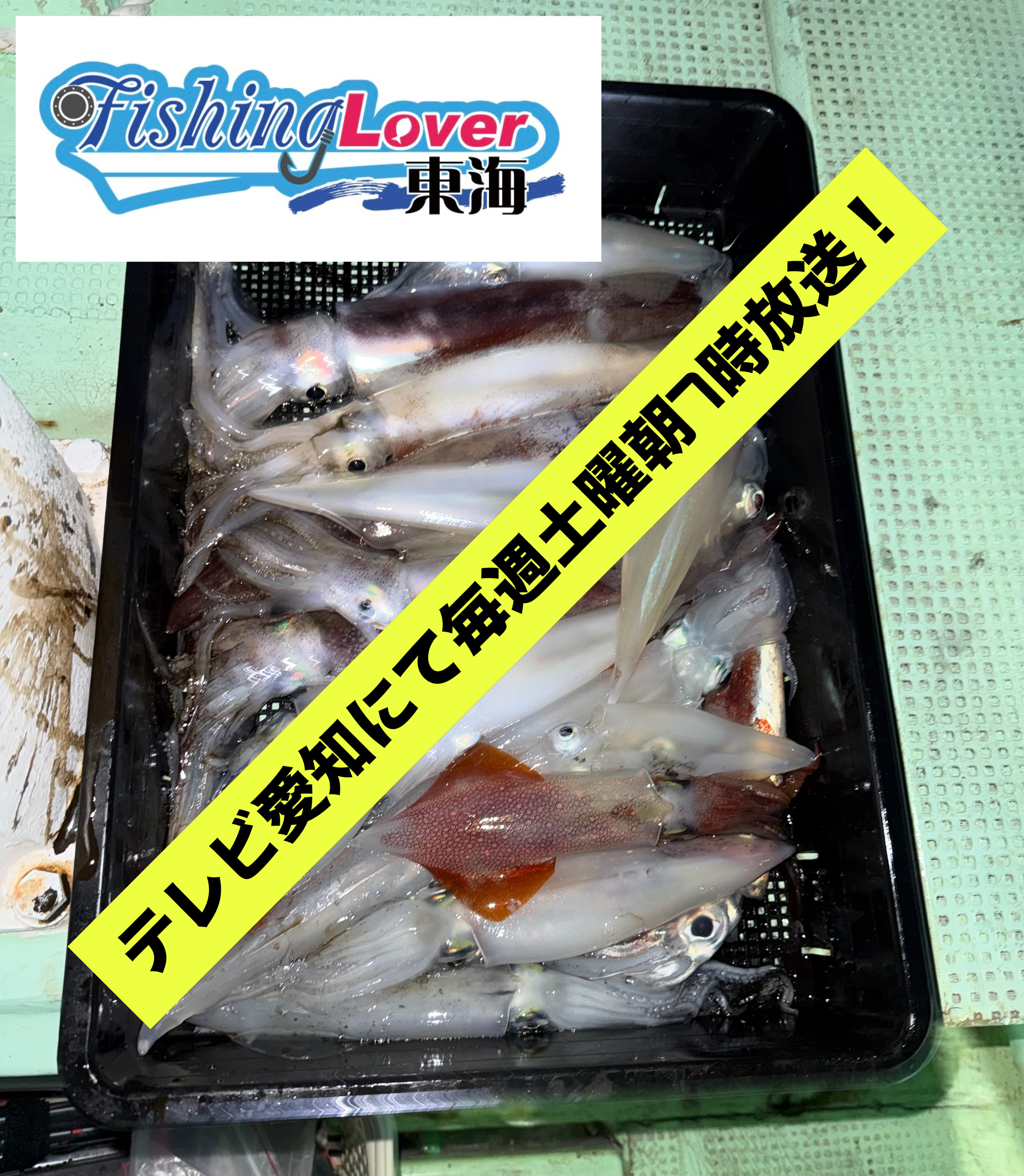 68D2D19D-5992-4EAD-95A7-C5F45B887E9B