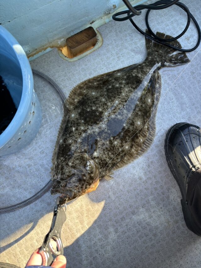 8sLSLVP3s3fvcLBSnsGQxY321WwqoJF9xbxuDeI0dTTvKlrG8L8KVemR554dKQ1V3nNu95bCnAdCqflKALcr8hdqLJ9hiIkkfIl4Lj3ONMii9bI5uARWxxayBbino0MM-Y6RmCFYWj9R9NUu3GhWkQ==