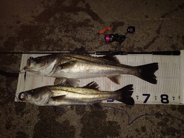 HGoyBNSDtbTS5aCX5p9le8BPYaFYJgFaHYESwTyNRswUq2AwVfhHTEfe1OaZalA0uQAwFt97wyDa4YvjhE6MKlIzudVERTA5ND2gj-ap_yUw4t1c0UtBjJTU4dDj0VULyoEYSNdl5TIBu65cFcBv0A==