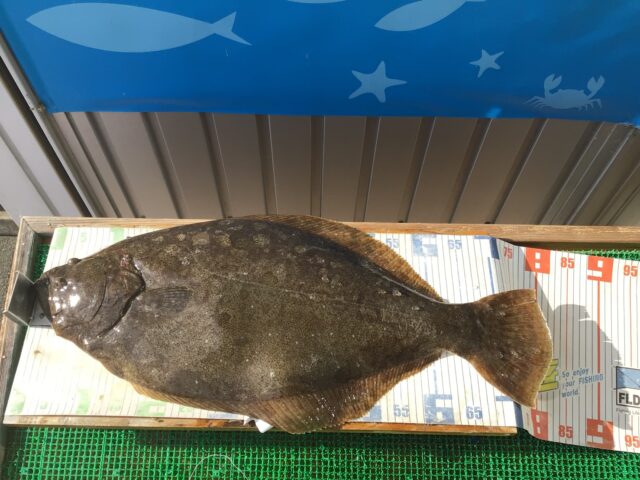 KMAPULpBr60HZed6DBGtV2FMHQJfR_zsoNIyWFu-pv_O86xgMM8_c54ZsOnSoxTU7rXev8cbKlmyVqnYQRYDBCg8nZdNtF1VhHKAv5WGaKqCW11Xp6s7VbEUi5gyWPfjr6fRbKROf4YksHppMo5QDQ==