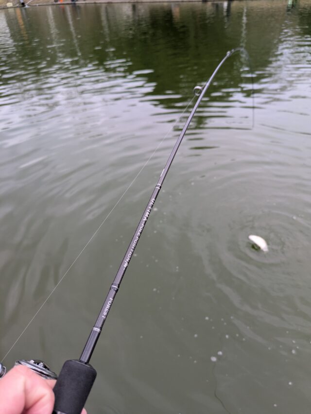 PXL_20251231_055617145.MP