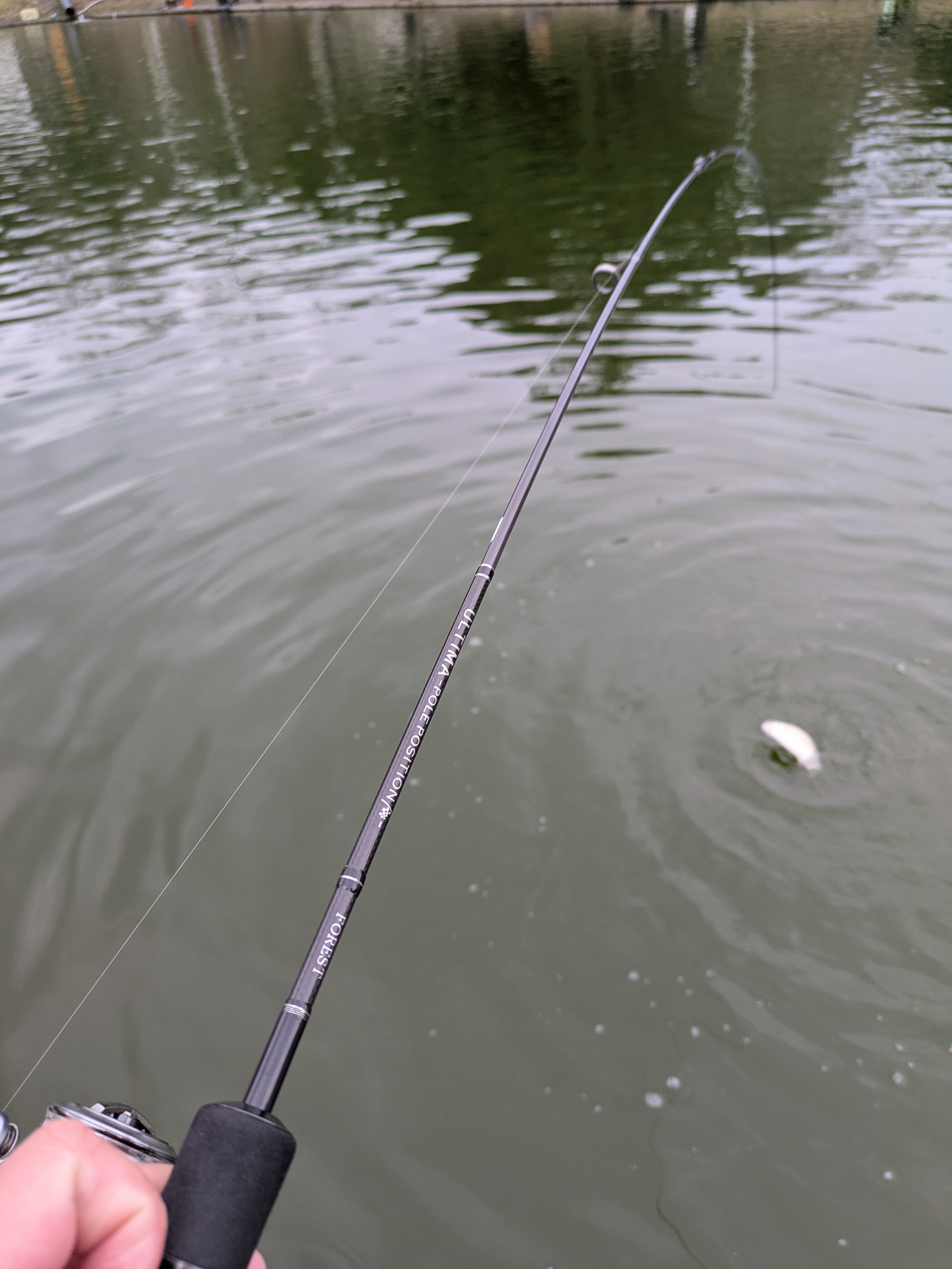 PXL_20251231_055617145.MP