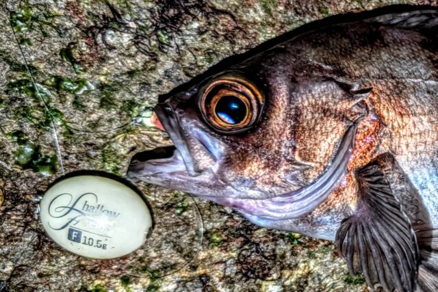 PXL_20251231_135038837~2_copy_910x607