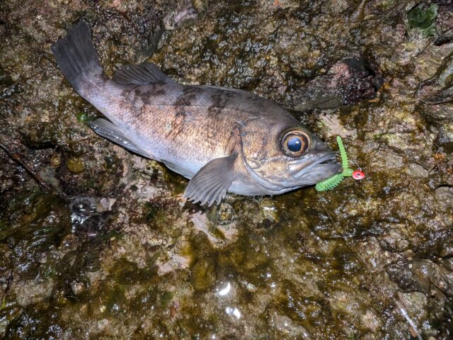 PXL_20251231_144518752