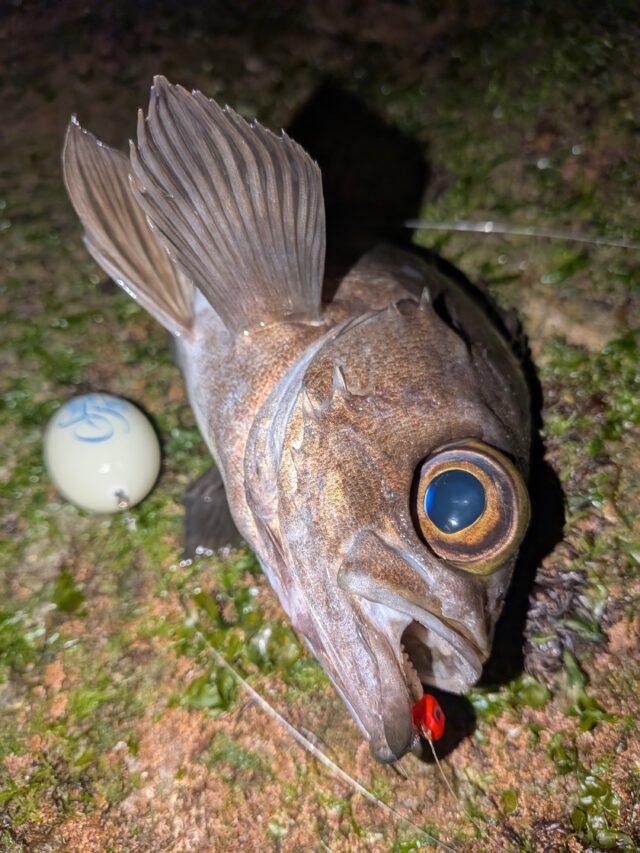 PXL_20251231_150026044