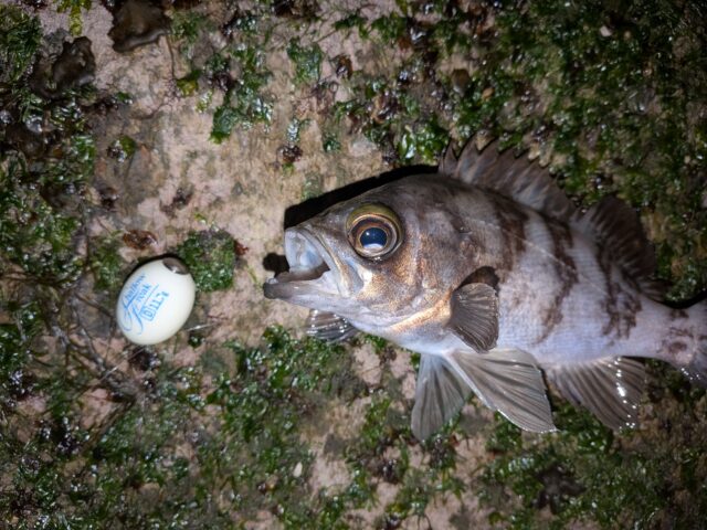 PXL_20251231_150422116