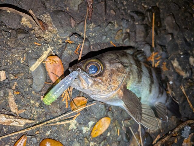 PXL_20260103_131646835