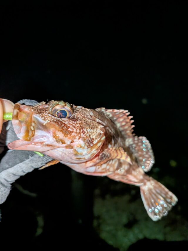 PXL_20260103_135859276