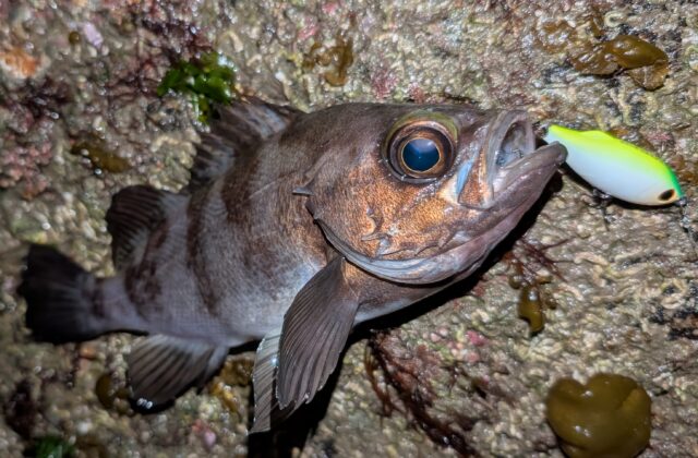 PXL_20260103_152100248