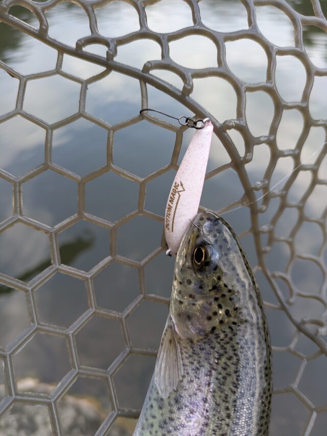 PXL_20260105_025922695