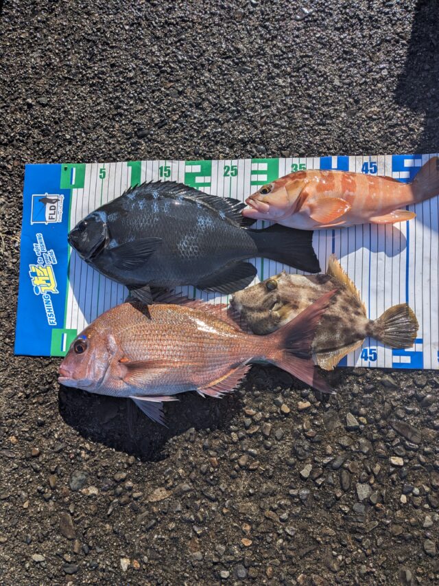 PXL_20260107_044212979