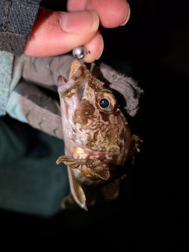 PXL_20260107_121840036.MACRO_FOCUS