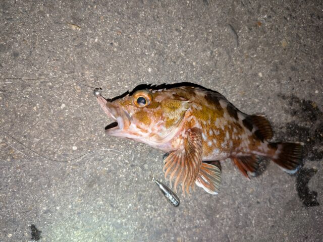 PXL_20260107_161209372