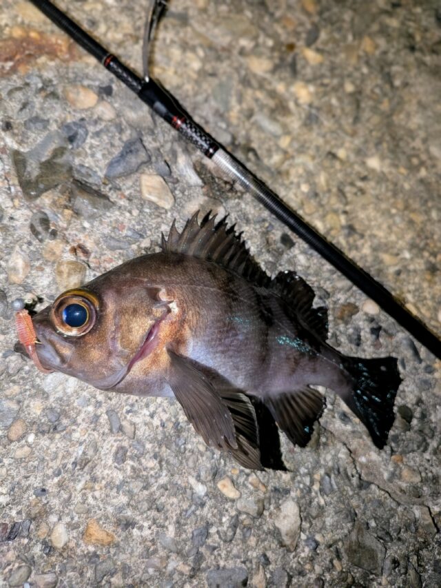 PXL_20260109_130540181~2