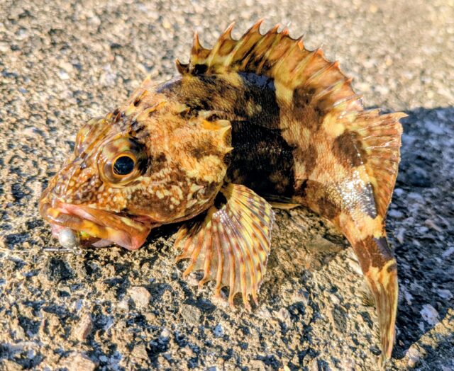 PXL_20260110_064800524~2