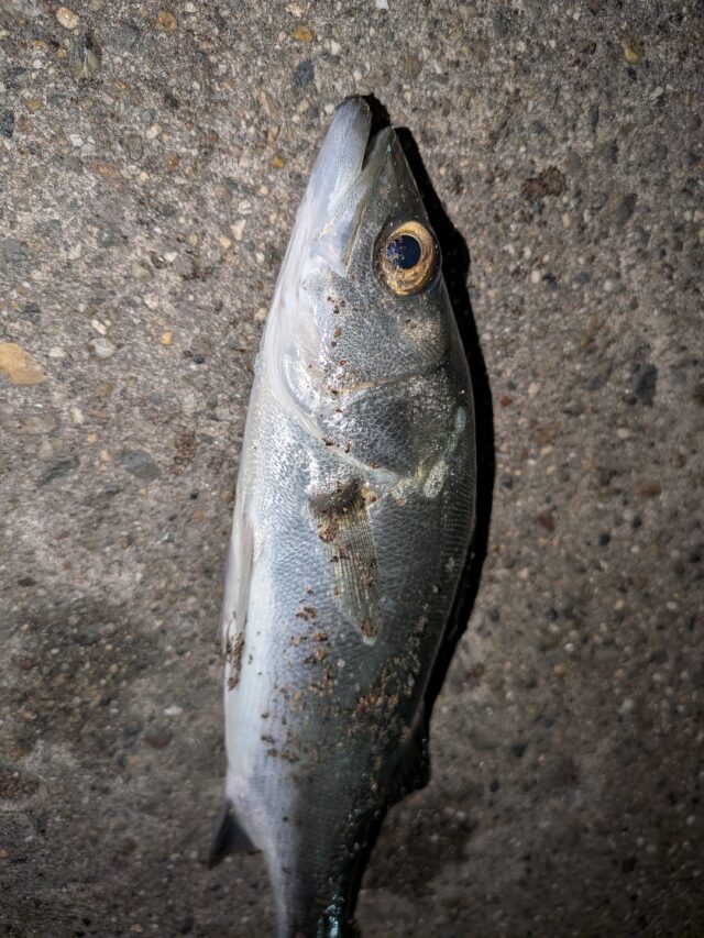 PXL_20260110_130717686