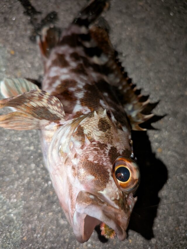 PXL_20260110_133019094.MACRO_FOCUS