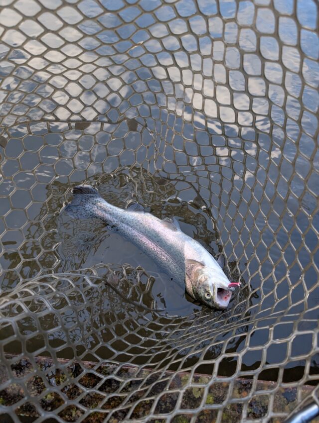 PXL_20260111_052157538