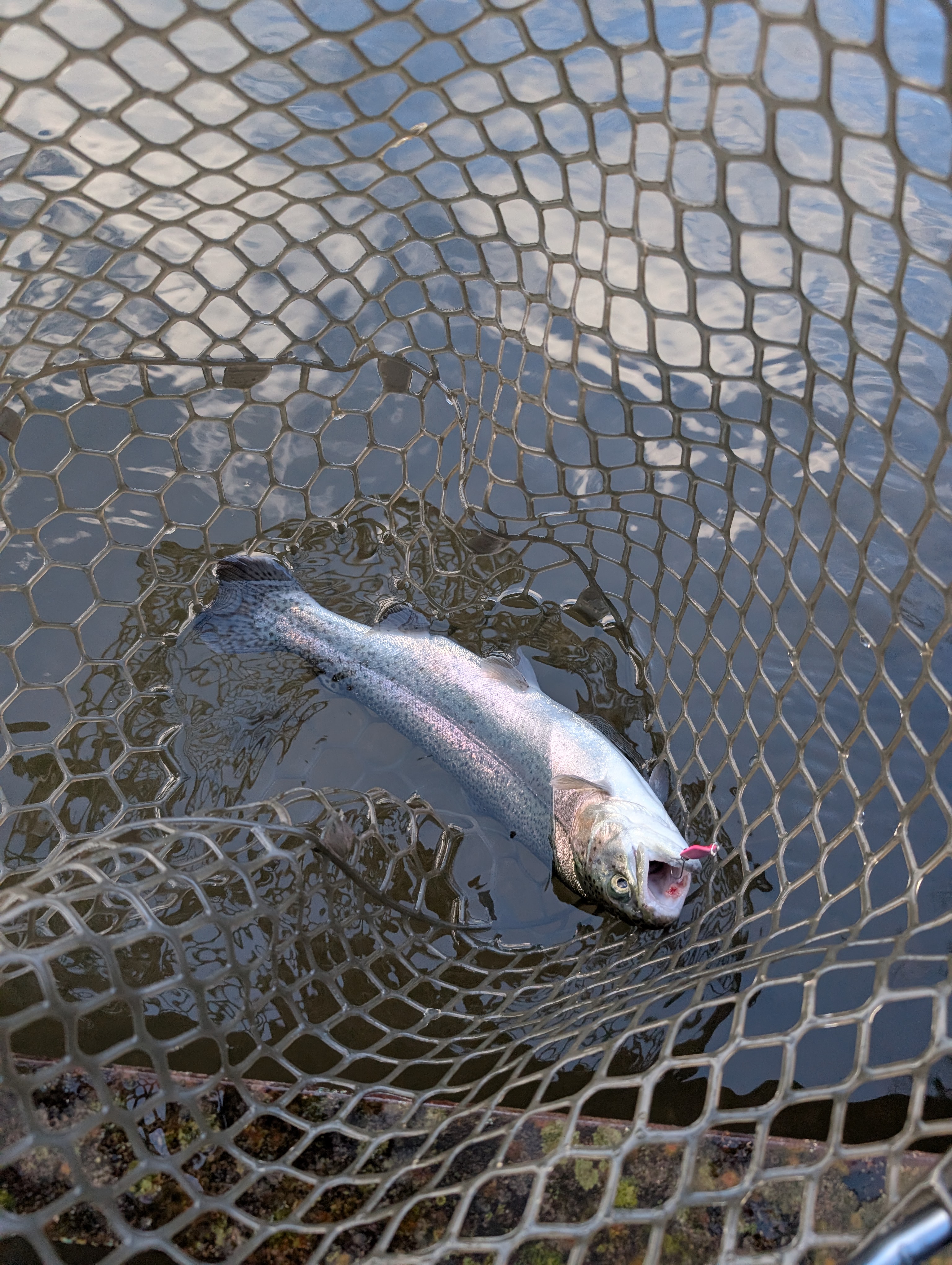 PXL_20260111_052157538