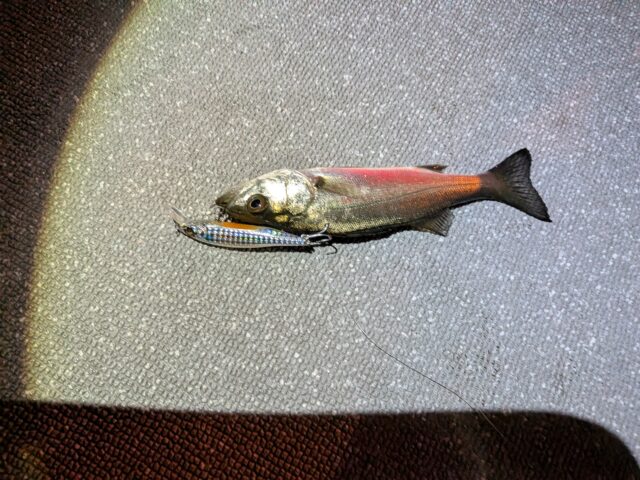 PXL_20260112_135909956