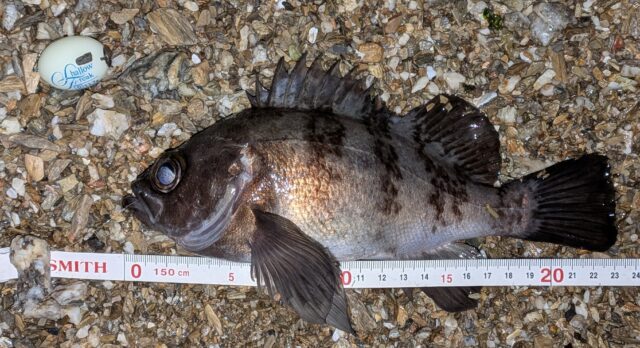 PXL_20260112_143732626.PORTRAIT.ORIGINAL