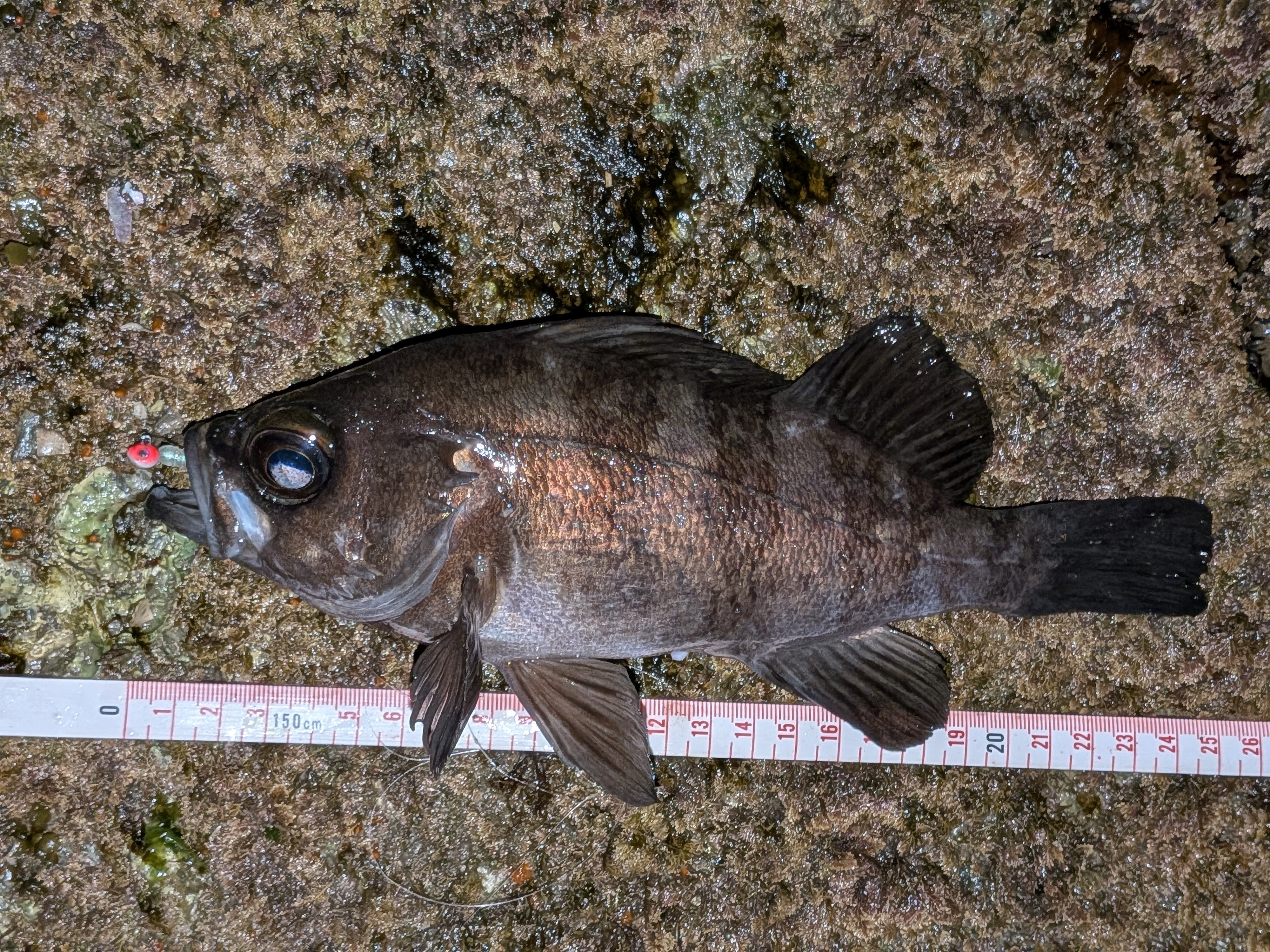 PXL_20260114_120843608.PORTRAIT.ORIGINAL