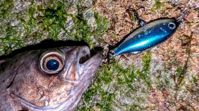 PXL_20260114_141445084~2_copy_1208x678