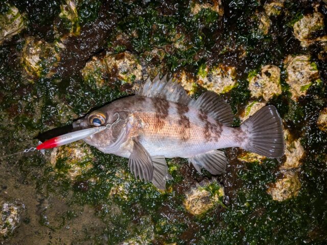 PXL_20260114_143032341