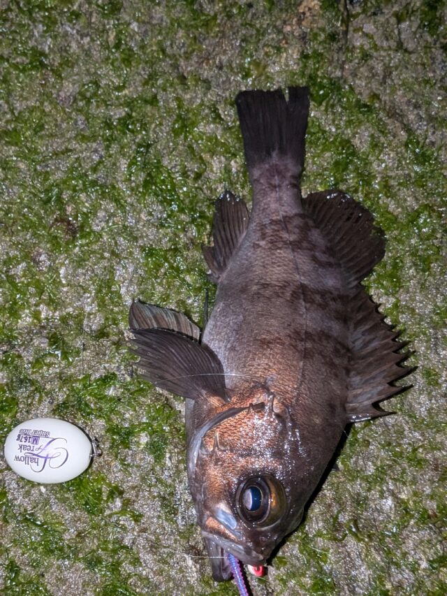 PXL_20260117_130816670.PORTRAIT.ORIGINAL