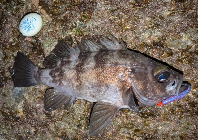 PXL_20260117_141954472