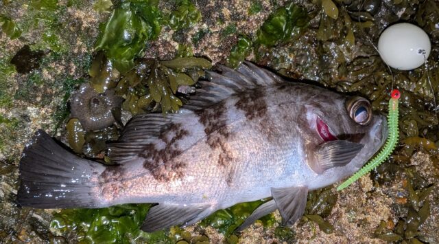 PXL_20260123_153836092.PORTRAIT.ORIGINAL