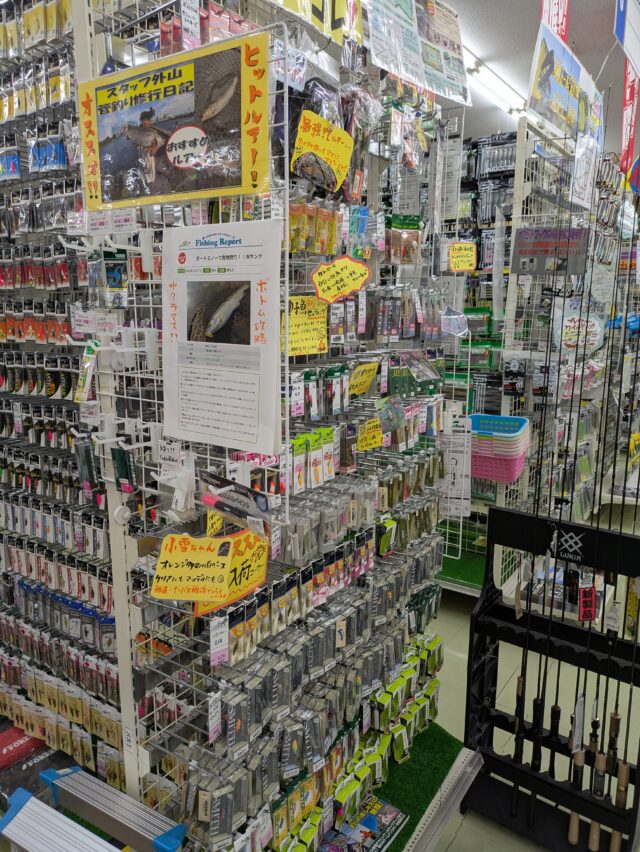 PXL_20260127_022804227.MP