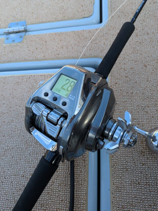 PXL_20260127_234718121.MP