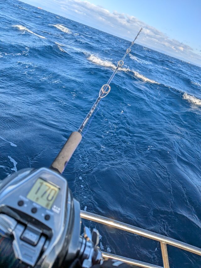 PXL_20260127_234954722.MP