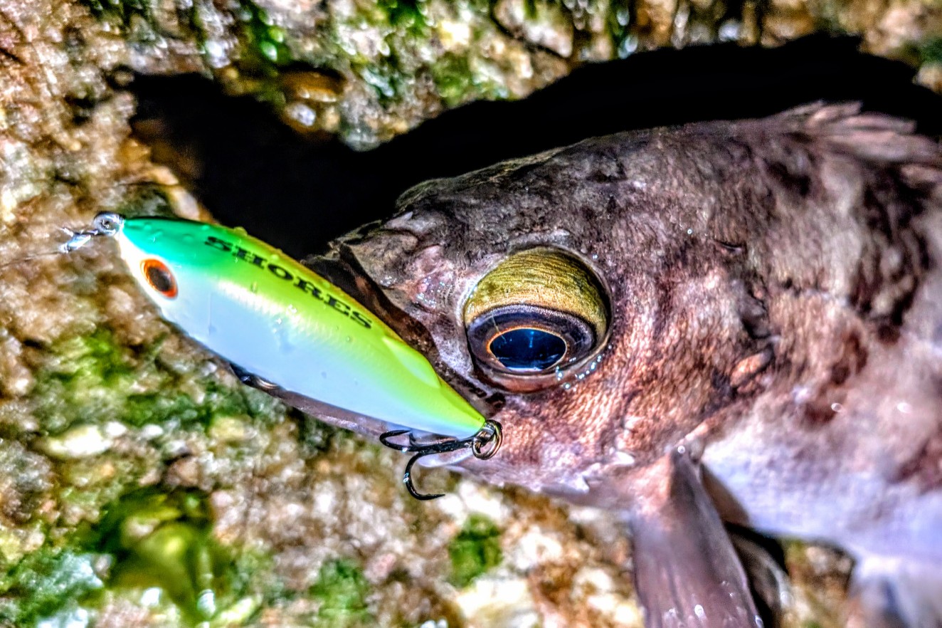 PXL_20260129_113924099~2_copy_1324x882