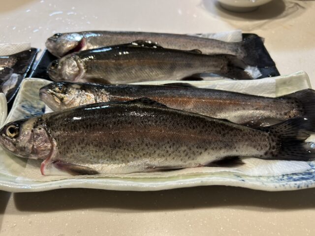 PnNgENxHpF6jLY3yKBHl5rF6zm-o07jnE9Y6SrSjTNs2xlApOS3v5q8yVxS0bBg3SCp9sk1JTmwfLKLfskcZO3N2GOry8Vcfsatr0tNu0xTlcUf7d-YJ4pxeFnfD9_5hOObrIXWDvj3wvVZWXR7TOg==