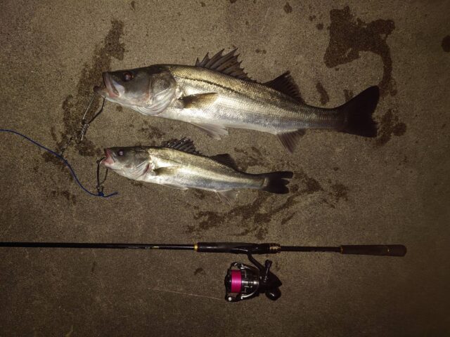 Rhw0ulqdmq5GyDqRGd87kgAL8-1wWtzfNjqyapBZwhHcX_6-4m9XZOeBf3Mu3U4y1_im7QwW_4tfFXc1_7paNarY_PQ4X_9KOR9jL3RlqUDxVP6dMdxwePDWAgiv0brjPGAWgRoNfwFFSQkqTkXAuA==