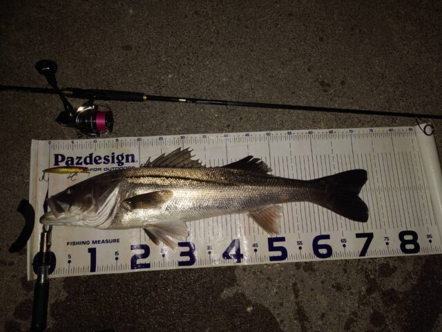 ZmT-ZLQLoI0FCFhIx4oHtJqRQN3OAJAM_g2Wra13BuUXknqbofKI1fKasZpjBnIevGmO_WO-RSJOvcSHP0pUkdcxL6w7DW3foFzK1cMvI6d0F1t3TKm4owKc_JHfqozU6jNu5bRgUMkvYKl3YQCxcw==