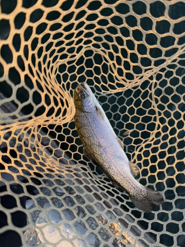 fEWxoq9aOePOMb9Kz4bpd6kprc7UZGhABqL8sGEL7IHUA_ougZDsNzuyDKQSttoAnhNzns-EBoLvVFaUuomQ_uvglLczXukoQ6ptayGQB33JwV1Rk_5XMzzkLDLz0NNZkpngZXezwyv0UN-p8nCI8Q==