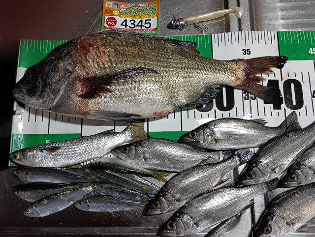 img_20260101_0448362