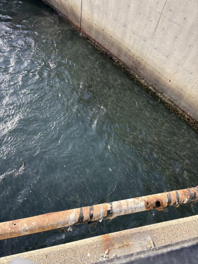 jaDYkhDB4Z_NmAQX4sU-ikRtkk_0VW1y-6SyV7yoHzuP7HaizJVtjcf6ygKb_D-CMQdAHkK01Z6faliGzBV_AovI_HfBmB2ofR5UBO1GElvZNDn5MRcpZQKGoIf0JRgJjgTjgTGATm1_gXXKFHhmhg==