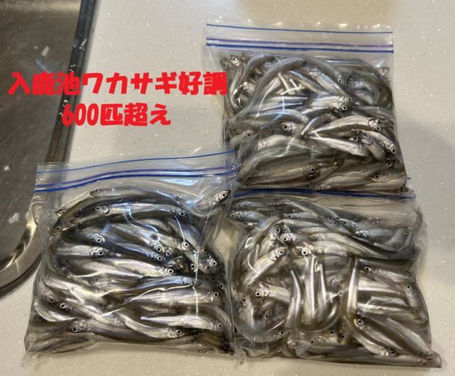 jkXt-EZxa0g9UlhWFMN0SQT0g8fs0ZJYu8x9VpcHzo85WkbU4MQJEeT47BblDUN91aI3wjpeWunJt_JxcrOMbPc4XZCNhB47qBz34eB7nyyXN17x6JcOxNuG-wqN5PmfjgTjgTGATm1_gXXKFHhmhg==