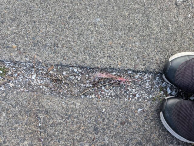 line_oa_chat_260113_144145_group_3