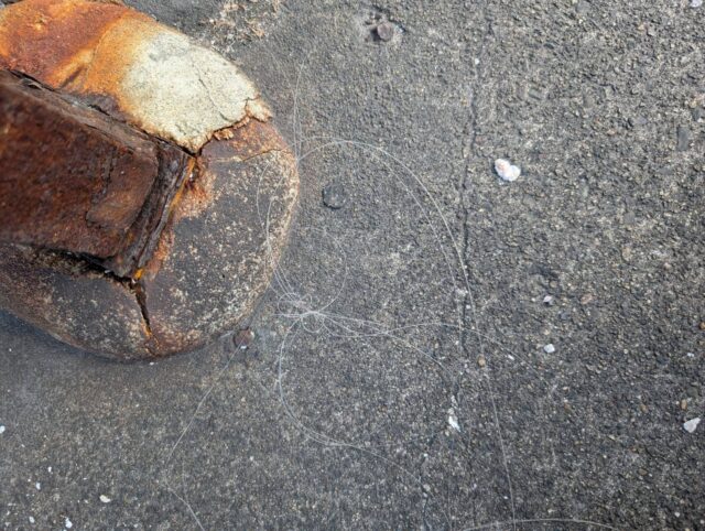 line_oa_chat_260113_144145_group_4