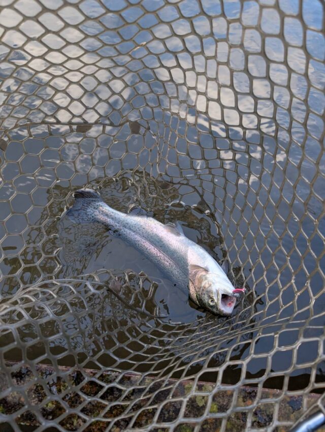 line_oa_chat_260116_155350_group_0