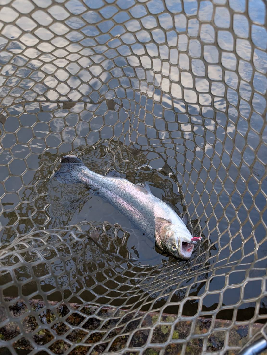 line_oa_chat_260116_155350_group_0