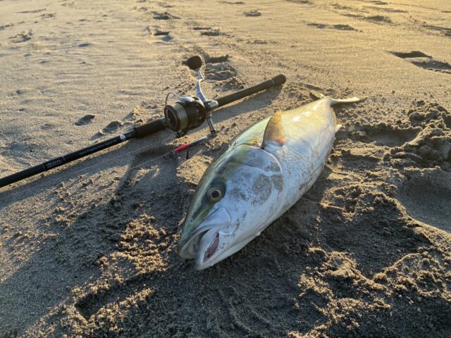 ve1vHwgFzL3N2wHsi3i3NNk8le1kPqdfIChIivKvjlAkKu-3rfbu6xRHdbikO2bqly-dasTKUoWwTK_FerV5nQmmifwa7ssMKdMOvzhpA3HIYw9HCwmfmPATk_V_52NnkpngZXezwyv0UN-p8nCI8Q==