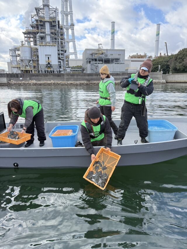 四日市津ヒラメ