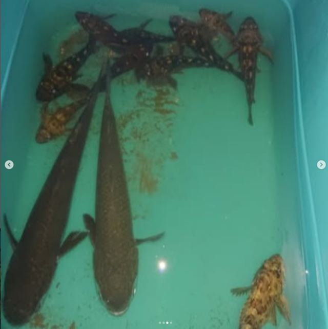 スクリーンショット 2026-02-25 101550